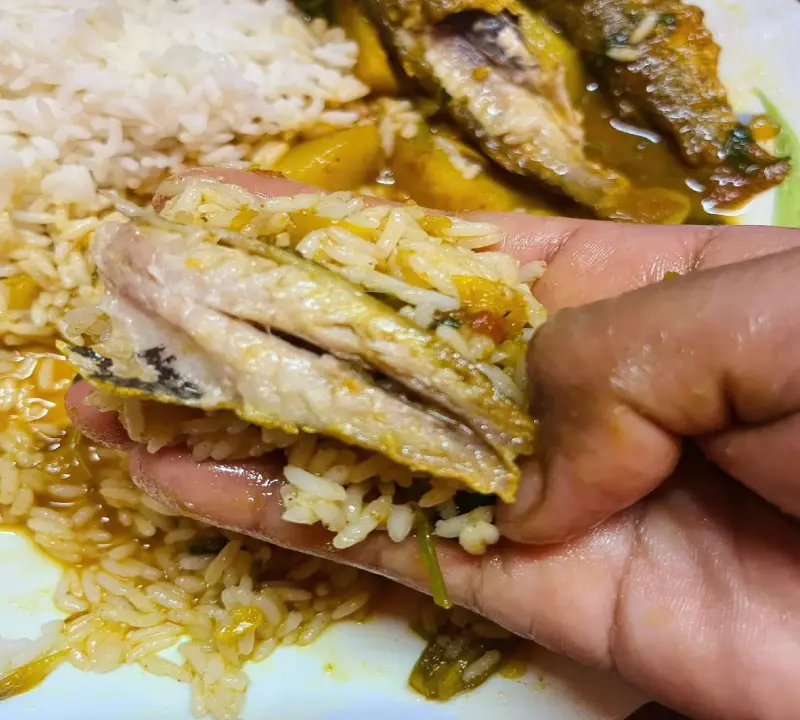 Hotel Sagar is the top Bengali tourists recommended restaurant Manali, serving fresh, flavorful meals near Mall Road.